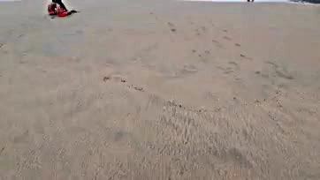 Porny beach party with actors before filming