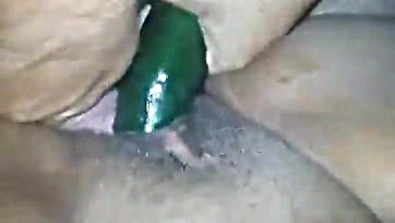 Pepino and wife's vagina involved in explicit activity