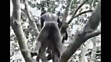 African girl gets brutally fucked in a forest