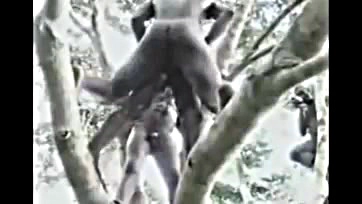 African girl gets brutally fucked in a forest