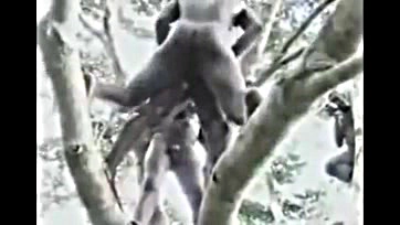 African girl gets brutally fucked in a forest