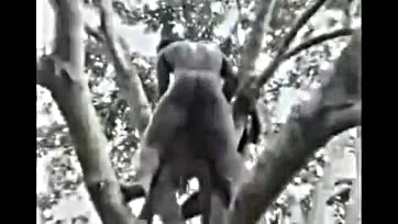 African girl gets brutally fucked in a forest