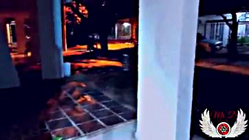 Neighbor caught masturbating in lingerie, gets scared and freaks out