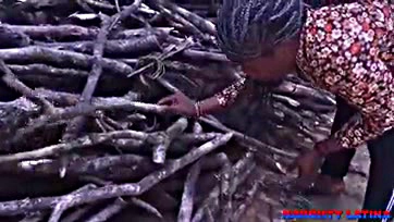 Teen ebony handles firewood seller's massive wood well