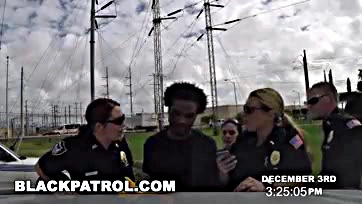 Some punk's got attitude, gets busted by cops on roof