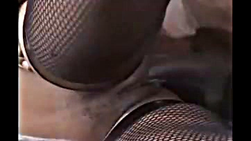 Black cock screws ebony cowgirl's ass