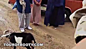 US soldiers pay prostitute with goat, no cash needed