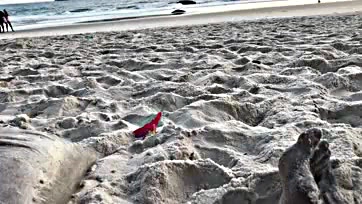 Fucking beachgoers ruin the fun, dude