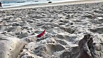 Fucking beachgoers ruin the fun, dude