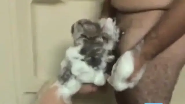 Hottest shampoo hairjob + cum in hair