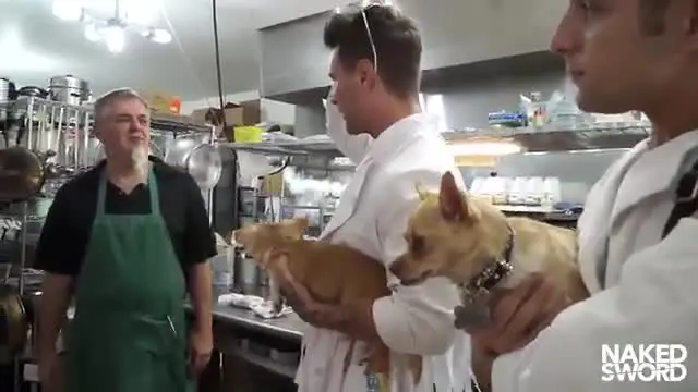 Chefs get naked and horny in the kitchen