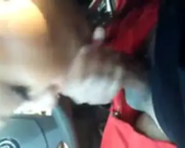 A nice blowjob in the car