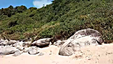 Folks get freaky naked on Brazilian beach, dude