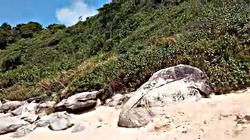 Folks get freaky naked on Brazilian beach, dude